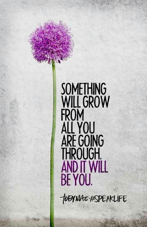 Something will grow from all you are going through, and it will be you. &mdash; TobyMac #SpeakLife